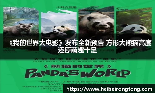 官方网入口