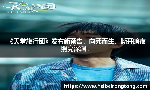 官方网入口